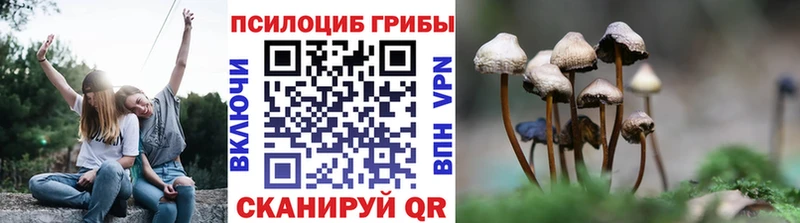 Псилоцибиновые грибы GOLDEN TEACHER  магазин  наркотиков  Ржев 
