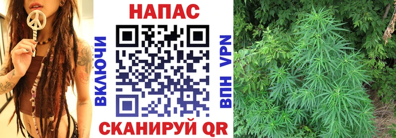 даркнет сайт  Ржев  Каннабис планчик 
